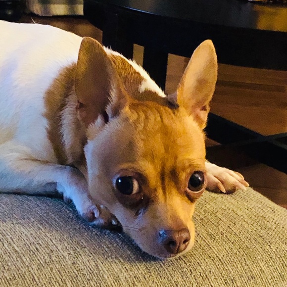 Meet your Posher, Angie - Picture 3 of 4